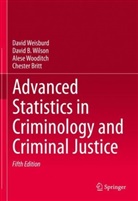 Chester Britt, Chester Britt (deceased), Davi Weisburd, David Weisburd, David Wilson, David B Wilson... - Advanced Statistics in Criminology and Criminal Justice