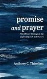 Anthony C. Thiselton - Promise and Prayer