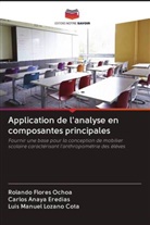 Carlos Anaya Eredias, Rolando Flores Ochoa, Luis Manuel Lozano Cota - Application de l'analyse en composantes principales