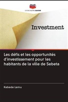 Kebede Lemu - Les défis et les opportunités d'investissement pour les habitants de la ville de Sebeta