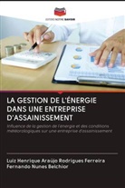 Fernando Nunes Belchior, Luiz Henrique Araújo Rodrigues Ferreira - LA GESTION DE L'ÉNERGIE DANS UNE ENTREPRISE D'ASSAINISSEMENT