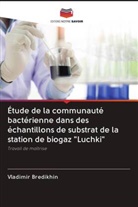 Vladimir Bredikhin - Étude de la communauté bactérienne dans des échantillons de substrat de la station de biogaz "Luchki"