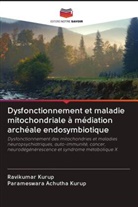 Parameswara Achutha Kurup, Ravikumar Kurup - Dysfonctionnement et maladie mitochondriale à médiation archéale endosymbiotique
