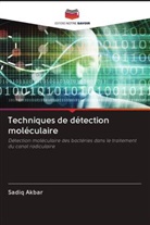 Sadiq Akbar - Techniques de détection moléculaire