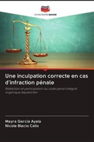 Nicole Blacio Celis, Mayra García Ayala - Une inculpation correcte en cas d'infraction pénale