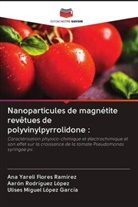 Ana Yareli Flores Ramírez, Ulises Miguel López García, Aarón Rodríguez López - Nanoparticules de magnétite revêtues de polyvinylpyrrolidone :