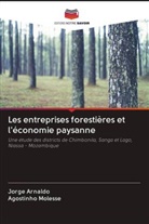 Jorge Arnaldo, Agostinho Molesse - Les entreprises forestières et l'économie paysanne