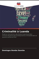 Domingos Bombo Damião - Criminalité à Luanda