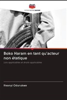 Ifeanyi Odurukwe - Boko Haram en tant qu'acteur non étatique