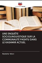 Neelofar Wani - UNE ENQUÊTE SOCIOLINGUISTIQUE SUR LA COMMUNAUTÉ PASHTU DANS LE KASHMIR ACTUEL