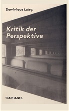 Dominique Laleg - Kritik der Perspektive