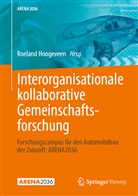Roelan Hoogeveen, Roeland Hoogeveen - Interorganisationale kollaborative Gemeinschaftsforschung