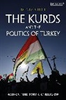 Deniz Cifci, Deniz Çifçi - The Kurds and the Politics of Turkey