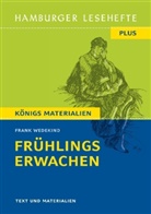 Frank Wedekind - Frühlings Erwachen.