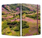 Insight Editions, Insights - Refuge: Purple Fireweed Softcover Notebook