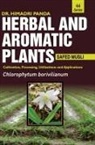 Himadri Panda - HERBAL AND AROMATIC PLANTS - 44. Chlorophytum borivilianum (Safed musli)