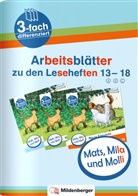 Axel Wolber, Gabriele Heinisch - Mats, Mila und Molli - Arbeitsblätter zu den Leseheften 13 - 18 (A B C). H.13-18