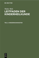 Walter Birk - Walter Birk: Leitfaden der Kinderheilkunde - Teil 2: Kinderkrankheiten