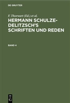 Hermann Schulze-Delitzsch, F. Thorwart - Hermann Schulze-Delitzsch's Schriften und Reden - 4: Hermann Schulze-Delitzsch's Schriften und Reden. Band 4