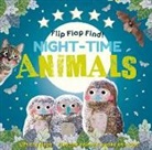 Dk, Phonic Books - Flip Flap Find! Night-Time Animals