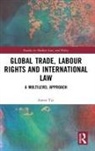 Aneta Tyc - Global Trade, Labour Rights and International Law