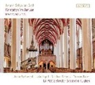 Johann Sebastian Bach - Kantaten im Januar-BWV 72,92 & 156 (Hörbuch)