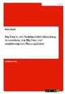 Rene Beyer - Big Data in der Kriminalitätsbekämpfung. Anwendung von Big Data und raumbezogenen Planungsdaten