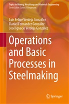 Fernández González, Daniel Fernández González, José Ignacio Verdeja González, Luis Felip Verdeja González, Luis Felipe Verdeja González - Operations and Basic Processes in Steelmaking