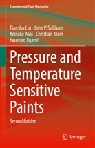 Keisuka Asai, Keisuka et al Asai, Keisuke Asai, Keisuke et al Asai, Yasuhiro Egami, Christian Klein... - Pressure and Temperature Sensitive Paints