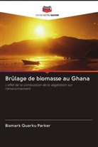 Bismark Quarku Parker - Brûlage de biomasse au Ghana