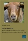 Johannes Heyne - Die Schafzucht