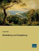 Karl Pfaff - Heidelberg und Umgebung