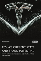 Ivelin Dobrev - Tesla's current state and brand potential. How to derive a brand meaning and create a future that inspires