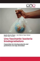 Sandra Butrón Pinazo, Felipe Supo Condori, LUIS ALBERTO SUPO QUISPE - Una fascinante bacteria biodegradadora