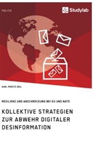 Karl Moritz Heil - Kollektive Strategien zur Abwehr digitaler Desinformation. Resilienz und Abschreckung bei EU und NATO