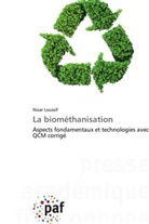 Nizar Loussif - La biométhanisation