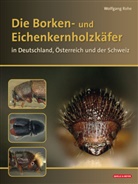 Wolfgang Rohe - Die Borken- und Eichenkernholzkäfer