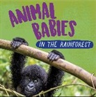 Sarah Ridley, Ridley Sarah, SARAH RIDLEY - Animal Babies: In the Rainforest