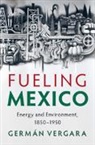 Germán Vergara, German (Georgia Institute of Technology) Vergara - Fueling Mexico