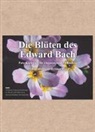 Helmut Maier - Edition Tirta: Kartenset - Die Blüten des Edward Bach