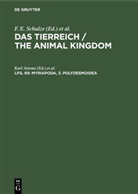 Karl Attems, Deutsche Zoologische Gesellschaft, Maximilian Fischer, K. Heidel, R. Hesse, Richard Hesse... - Das Tierreich / The Animal Kingdom - Lfg. 69: Myriapoda, 3. Polydesmoidea