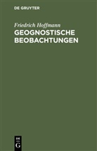 Friedrich Hoffmann - Geognostische Beobachtungen