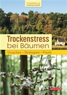Andrea Roloff, Andreas Roloff, Andrea Roloff (Hg ), Andreas Roloff (Hg., Andreas Roloff (Hg.) - Trockenstress bei Bäumen