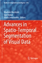 Vitaly Levashenko, Vladimir Mashtalir, Igo Ruban, Igor Ruban - Advances in Spatio-Temporal Segmentation of Visual Data