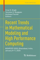 Yarosla D Sergeyev, Yaroslav D Sergeyev, Andreas Fischer, Yaroslav D. Sergeyev, Vinai K. Singh - Recent Trends in Mathematical Modeling and High Performance Computing