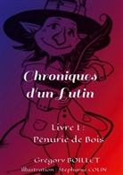 Grégory Boillet - Chroniques d'un Lutin