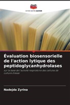 Nadejda Zyrina - Évaluation biosensorielle de l'action lytique des peptidoglycanhydrolases