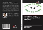 Ismail Luhar, Salmabanu Luhar - Calcestruzzo verde: Incorporazione di rifiuti elettronici