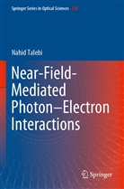 Nahid Talebi - Near-Field-Mediated Photon-Electron Interactions