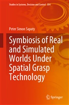 Peter Simon Sapaty - Symbiosis of Real and Simulated Worlds Under Spatial Grasp Technology